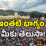Tirumala Benefits: మీ జీవితాంతం శ్రీవారి దర్శనం పొందాలా? కేవలం ఇలా చేస్తే సరి..