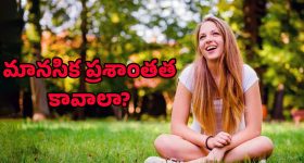 Peace of Mind: మానసిక ప్రశాంతత కావాలా? అయితే ఇది మీ కోసం..