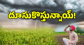Heavy Rain Alert: రైతన్నలకు వర్షాల గిఫ్ట్.. నైరుతి వానలు ముందే.. IMD ప్రకటన..