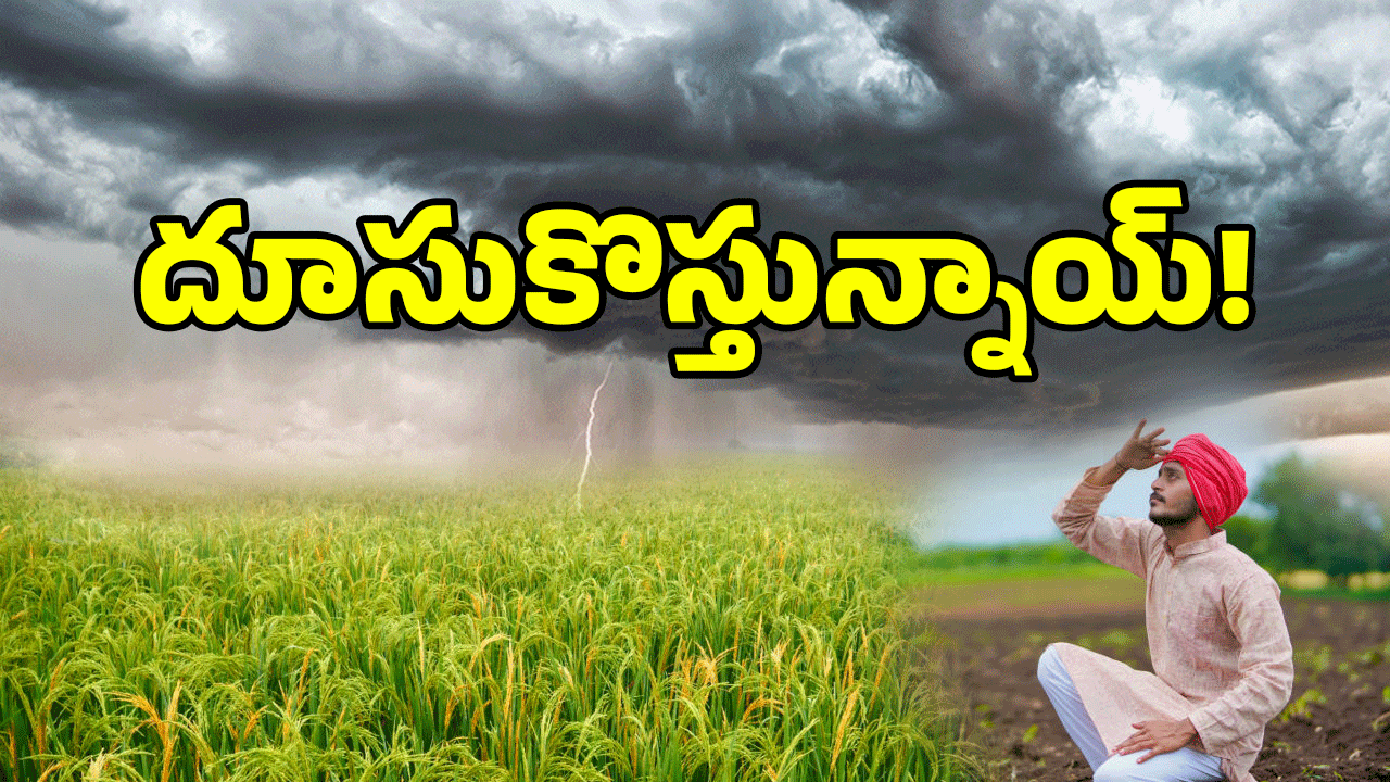 Heavy Rain Alert: రైతన్నలకు వర్షాల గిఫ్ట్.. నైరుతి వానలు ముందే.. IMD ప్రకటన..