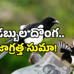 Viral Video: డబ్బులు చోరీ చేసిన పక్షి.. ఈ గ్యాంగ్ తో పని కాదు..