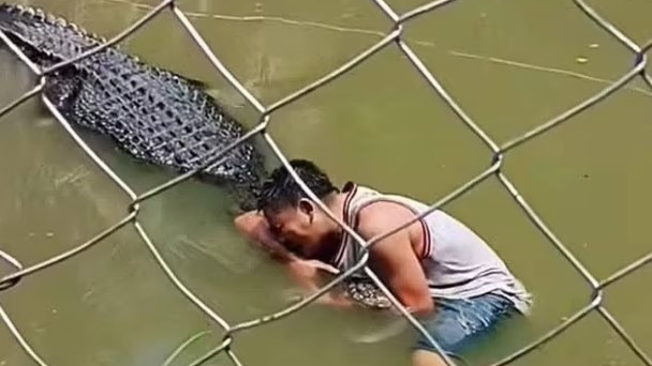 Selfie with crocodile: బొమ్మ అనుకుని సెల్ఫీ.. మొసలి నోటికి చిక్కి