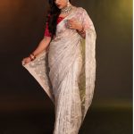 Vithika Sheru: వింటేజ్ లుక్ లో వితికా.. జాబిలమ్మలా..!