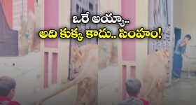 Minister Lokesh: ప్రధాని మోదీతో మంత్రి లోకేష్ భేటీ.. లిక్కర్ కేసులో తదుపరి అరెస్టులపై చర్చించే ఛాన్స్?