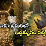 Viral Video: పెళ్లి పందిరిలోకి అనుకోని అతిథి, బంధువులంతా పరుగో పరుగు!