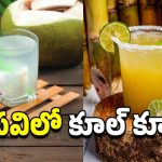 Coconut Water vs Sugarcane: చెరకు రసం vs కొబ్బరి నీళ్లు.. వేసవిలో ఏది బెస్ట్