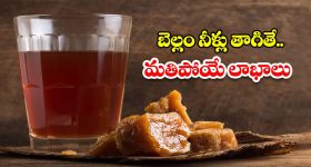 Sapthami Gowda : కళ్లు చెదిరే లుక్ లో కాంతారా బ్యూటీ.. మనసు దోచుకుంటుంది..