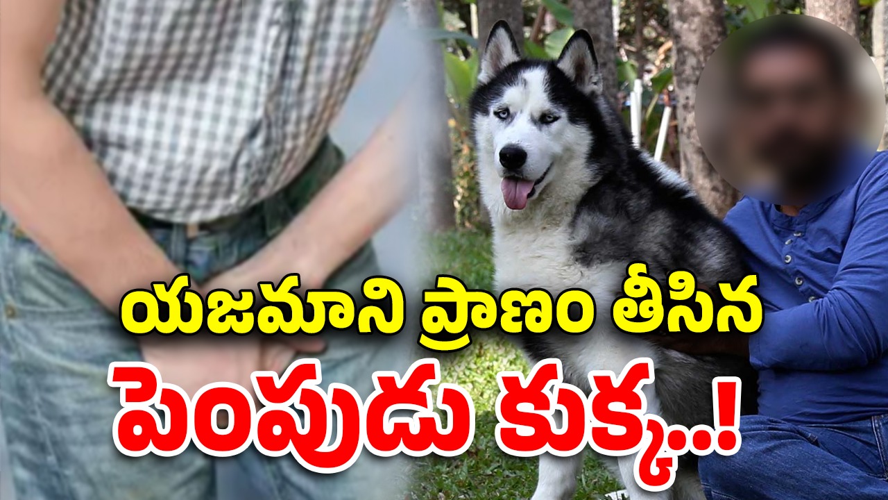 Pet Dog Kills Owner: మర్మాంగాలను కొరికి తిని..పెంపుడు కుక్క దాడికి బలైన ఓన‌ర్