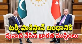 Pakistan Turkey Legacy: పాకిస్తాన్‌కు టర్కీ ఎందుకు మద్దతు ఇస్తోంది? వీరి దోస్తీకి కారణాలు ఏమిటి?