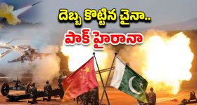 Gopichand Malineni: విజయ్ రాజకీయ స్వార్థం..తెలుగు డైరెక్టర్‌ను అవమానించి పంపిన తమిళ హీరో