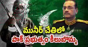 Peace of Mind: మానసిక ప్రశాంతత కావాలా? అయితే ఇది మీ కోసం..