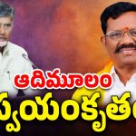 Satyavedu TDP New Incharge: ఆదిమూలంకు షాక్.. సత్యవేడులో టీడీపీకి కొత్త ఇంచార్జి?