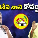 AP Politics: కోవర్ట్‌గా కేశినేని నాని?