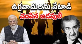 India Pakistan Terrorism: ఉగ్రవాదులను అంతం చేయాలంటే అదొక్కటే మార్గం.. ఇండియాకు గ్లోబల్ సెక్యురిటీ నిపుణుడి సూచన