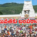 Tirumala News: యువతకు టీటీడీ స్పెషల్ ఆఫర్.. ఉచితంగా వీఐపీ బ్రేక్ దర్శనం