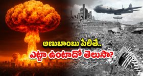 Pakistan Four Parts: త్వరలోనే పాకిస్తాన్ 4 భాగాలుగా చీలిపోతుంది.. ఇండియా మాజీ డిజిఎంవో వ్యాఖ్యలు