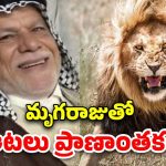 Man Pet Lion Kill: సరదా కోసం సింహాన్నిపెంచుకున్న వ్యక్తి.. ఇంట్లో అంతా రక్తపాతం