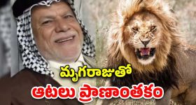 HBD Ram Pothineni: హిందీలో ఆ రికార్డు సాధించిన ఏకైక తెలుగు హీరో..?