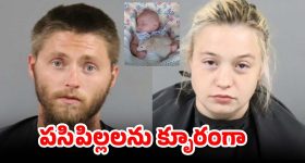 No Flying Zone: తిరుమల కొండపై విమానాలు తిరగడం ఎందుకని నిషేధం?