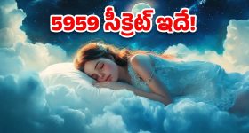 Puri Jagannath : బెగ్గర్ మూవీలో డర్టీ హీరోయిన్... ఊహించడానికి బానే ఉన్నా... అది నిజం కాదు