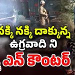 Terrorist Encounter: నక్కి నక్కి దాక్కున్న ఉగ్రవాదిని ఆర్మీ ఎన్ కౌంటర్