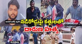 Hyderabad Metro: మెట్రో టికెట్లపై బ్రేకింగ్ అప్‌డేట్.. మే 17 నుంచే కొత్త చార్జీలు.. ఎంత పెంచారంటే?