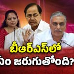 BRS party: బీఆర్ఎస్‌లో ఏం జరుగుతోంది? సొంత నేతలే కుట్రలు చేస్తున్నారా..?