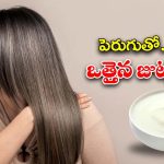 Curd For Hair Growth: పెరుగు ఇలా వాడితే.. జుట్టు రాలడం తగ్గి, ఒత్తుగా పెరుగుతుంది తెలుసా ?