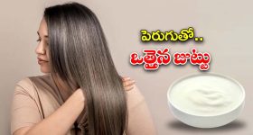 Curd For Hair Growth: పెరుగు ఇలా వాడితే.. జుట్టు రాలడం తగ్గి, ఒత్తుగా పెరుగుతుంది తెలుసా ?