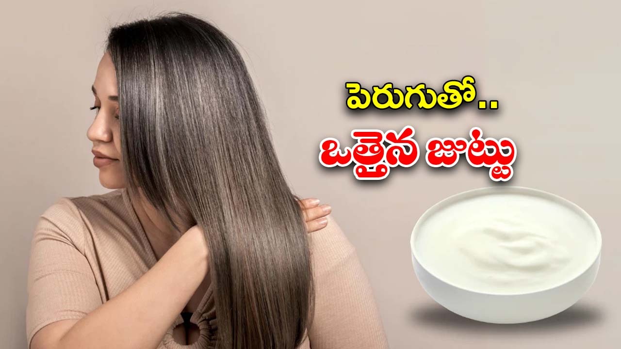 Curd For Hair Growth: పెరుగు ఇలా వాడితే.. జుట్టు రాలడం తగ్గి, ఒత్తుగా పెరుగుతుంది తెలుసా ?