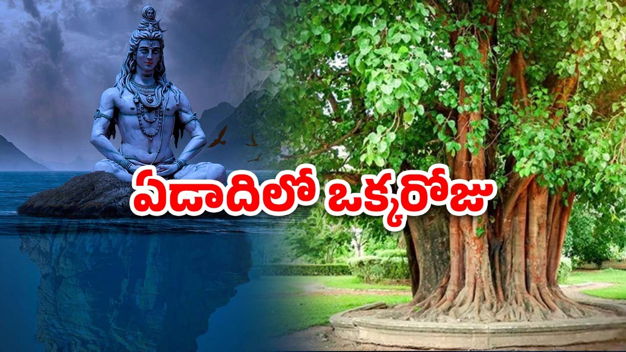 Somvati Amavasya 2025: సోమవతి అమావాస్యం 26న.. ఆ రోజు స్పెషలేంటి?