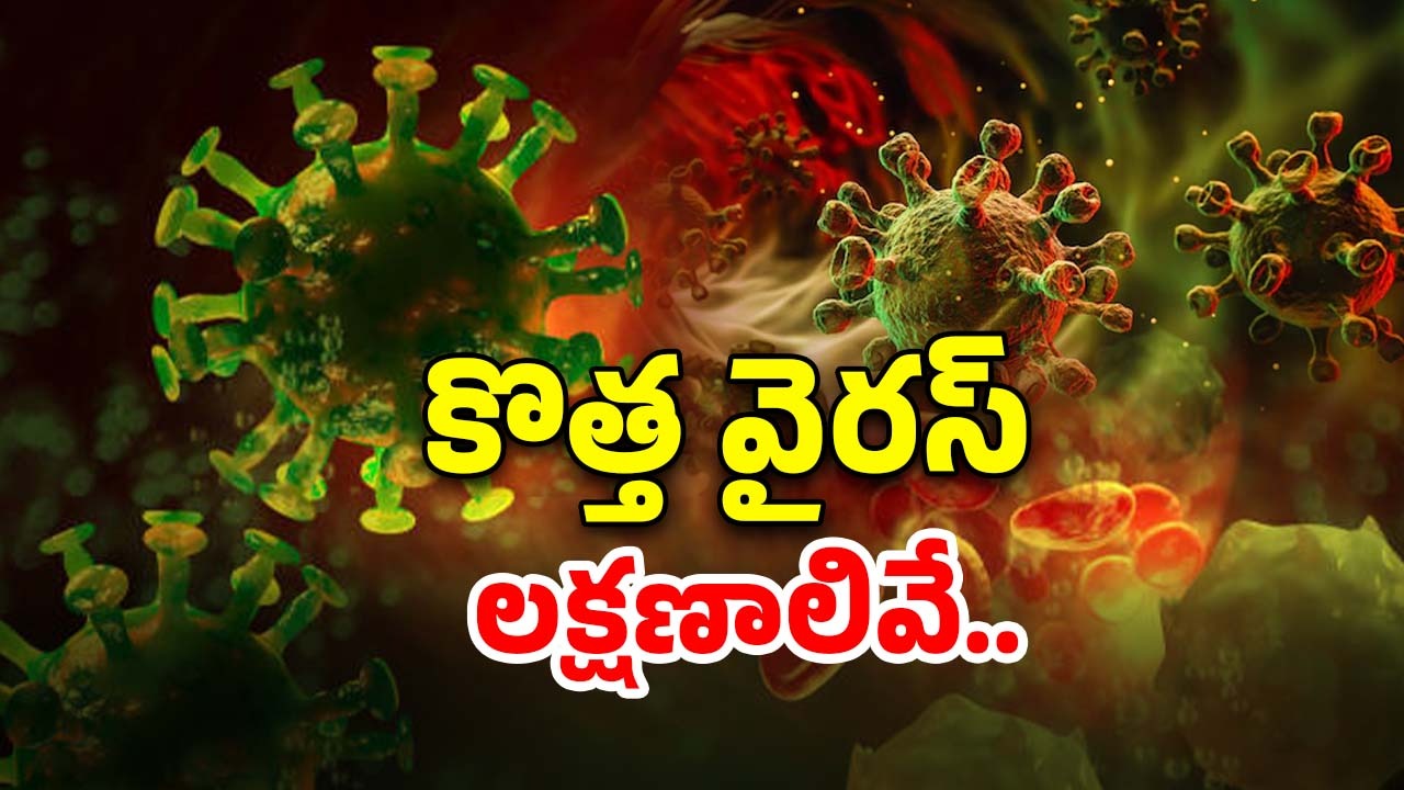 Corona Symptoms: కొత్త కరోనా డేంజర్.. ఇప్పటికే ఇద్దరు మృతి, ఈ వైరస్ లక్షణాలివే