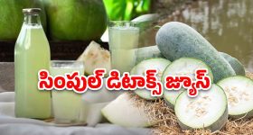 Ash Gourd Health Benefits: బూడిద గుమ్మడికాయతో ఎన్ని ఆరోగ్య లాభాలో