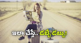 Money Earning Tips: తిరుగుతూ డబ్బులు సంపాదించే ఉపాయం.. ట్రావెలింగ్‌తో లక్షల్లో ఆదాయం!
