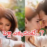 Akkineni Akhil : అఖిల్ అక్కినేని పెళ్లి డేట్ ఫిక్స్.. పెళ్లి వేదిక ఎక్కడంటే..?