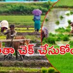 TG Rythu Bharosa Scheme:  తెలంగాణ రైతులకు తీపి కబురు.. కేవలం 10 రోజుల్లో