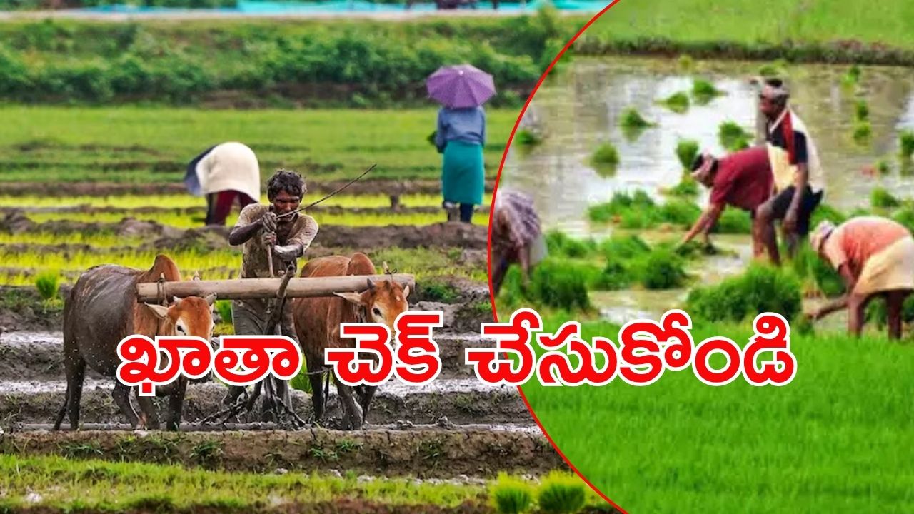 TG Rythu Bharosa Scheme:  తెలంగాణ రైతులకు తీపి కబురు.. కేవలం 10 రోజుల్లో