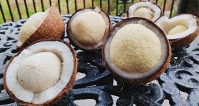 Coconut Flower: మీకు కొబ్బరి పువ్వు ప్రయోజనాలు తెలుసా?
