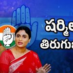 YS Sharmila In Trouble: షర్మిలపై తిరుగుబాటు.. హైకమాండ్ నిర్ణయం ఏంటి?