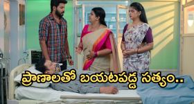 Sam Curran: ప్రీతి జింటాను ర్యాగింగ్ చేసిన సామ్‌ కర్రన్‌