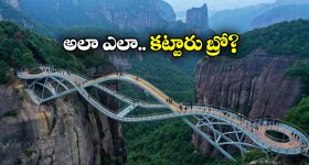 Indian cricketers : బజ్జీలు, హమాలీ, సిమెంట్ పనులు చేసుకుంటున్న టీమిండియా ప్లేయర్లు