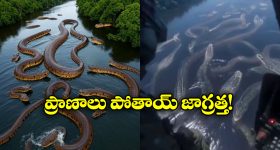 Pakistan: నిజం అంగీకరించిన పాక్ పీఎం షెహబాజ్.. ‘బ్రహ్మోస్‌’తో మా ప్లాన్ ఫెయిల్