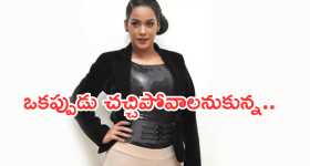 Mumaith khan : ముమైత్ ఖాన్ తలలో నరాలు తెగిపోయాయా..? ఎప్పుడు జరిగిందంటే..?