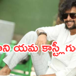 Nani : ‘హిట్ 3’ భారీ సక్సెస్.. రెమ్యూనరేషన్ ను పెంచేసిన నాని.. ఒక్కో సినిమాకు ఎంతంటే..?