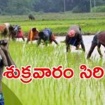 Rythu Bharosa Scheme: రైతులకు శుభవార్త.. ఒకొక్కరి అకౌంట్లలో  36 వేలు, అదెలా?