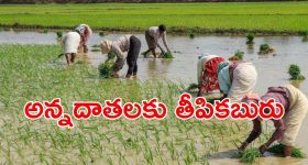 Kantara 2: వరుస విషాదాలు.. రిషబ్ శెట్టికి అర్చకులు హెచ్చరిక!