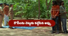 Brahmamudi Serial Today June 7th: ‘బ్రహ్మముడి’ సీరియల్: కావ్యను కాపాడిన అప్పు – షాక్ లో యామిని