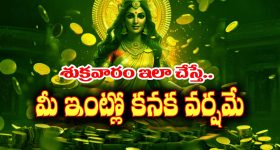 Astrology: శుక్రవారం ఈ తప్పు అసలు చేయకండి - తెలిసి చేసినా తెలియక చేసినా నష్టపోయేది మీరే