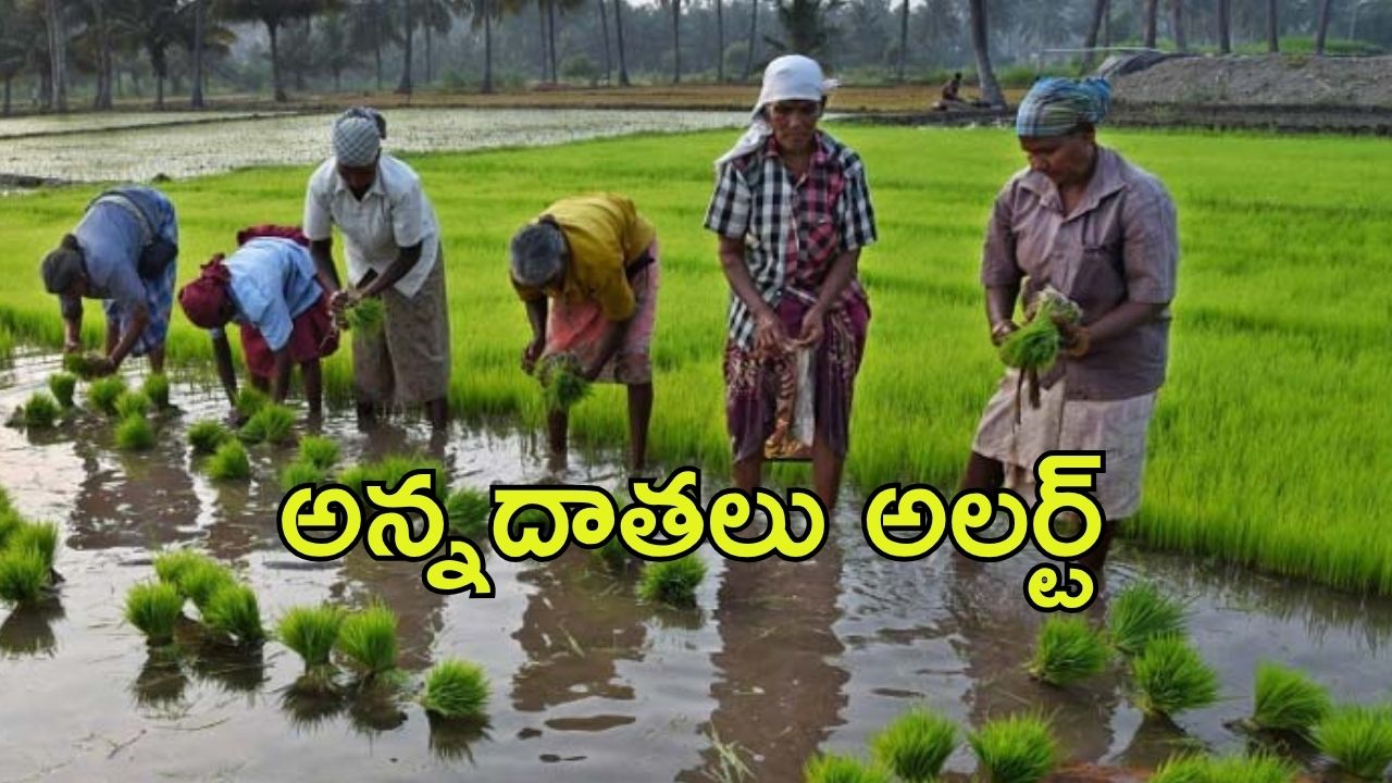 AP Govt: ఏపీలో రైతులకు శుభవార్త.. దరఖాస్తు ఈ విధంగా