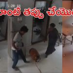 Viral Video: గ్యాస్​ సిలిండర్​ లీక్.. భారీ పేలుడు, కుటుంబ సభ్యులు పరుగో పరుగు, వైరల్ వీడియో